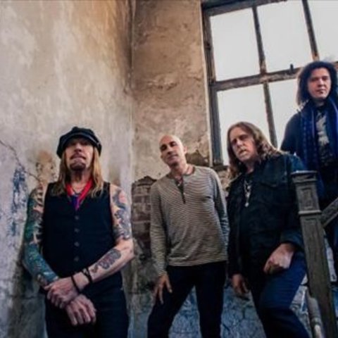 Warren Haynes