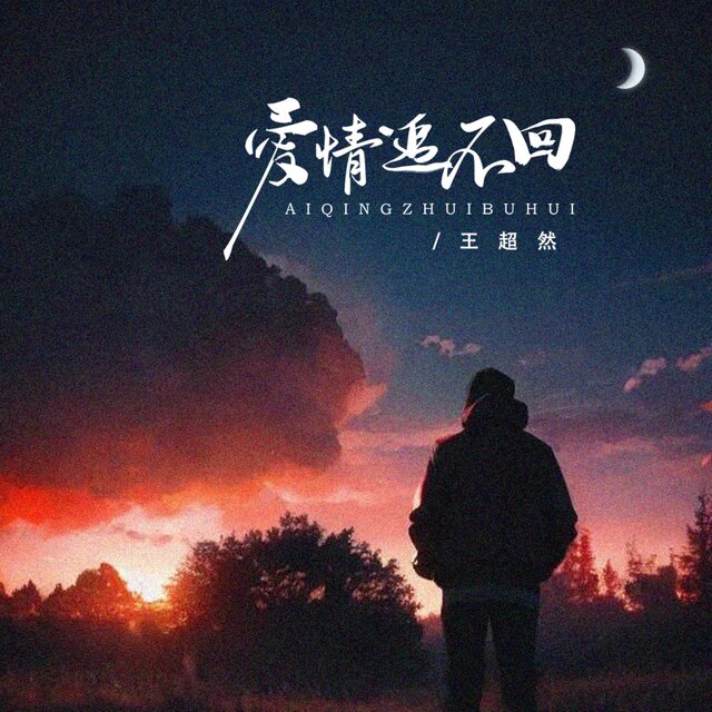 爱情追不回