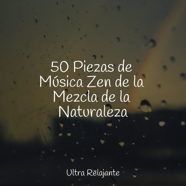 50 Piezas de Música Zen de la Mezcla de la Naturaleza