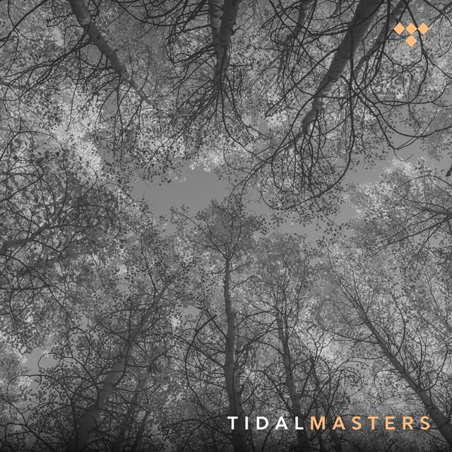 Autumn - TIDAL Masters