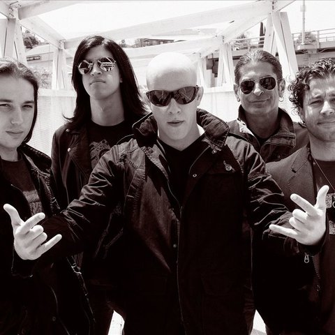 Infected Mushroom