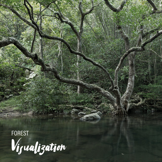 Forest Visualization - Close Your Eyes and Take Your Thoughts to the Heart of Nature with This Great New Age Music, Nature Sounds Relaxation, Woodland Escape, Bird Calls, Spirit of Harmony