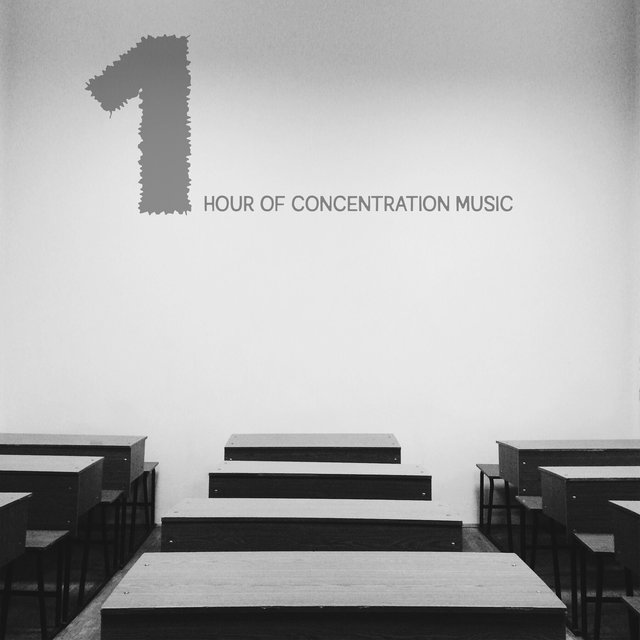 1 Hour of Concentration Music - Intellectual Stimulation by New Age Melodies, Focus Control, Good Results, Mindfulness Training, Smart & Brilliant, Test Preparation