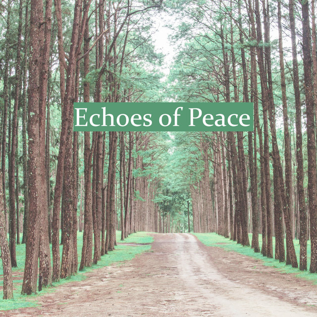 Echoes of Peace - New Age Music to Cure Insomnia, Relaxing Music, Zen, Sound Therapy with Nature Sounds, Relaxation & Meditation for Stress Relief, SPA & Wellness
