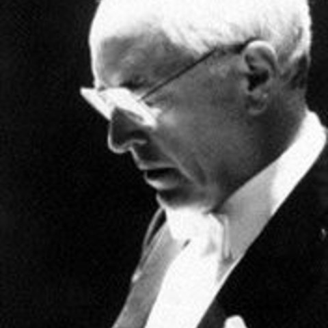 Robert Kohnen