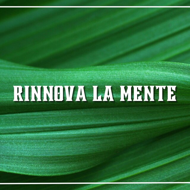 Rinnova la Mente: Musica con Suoni Naturali Calmanti per Rigenerare la Mente e Stimolare il Cervello