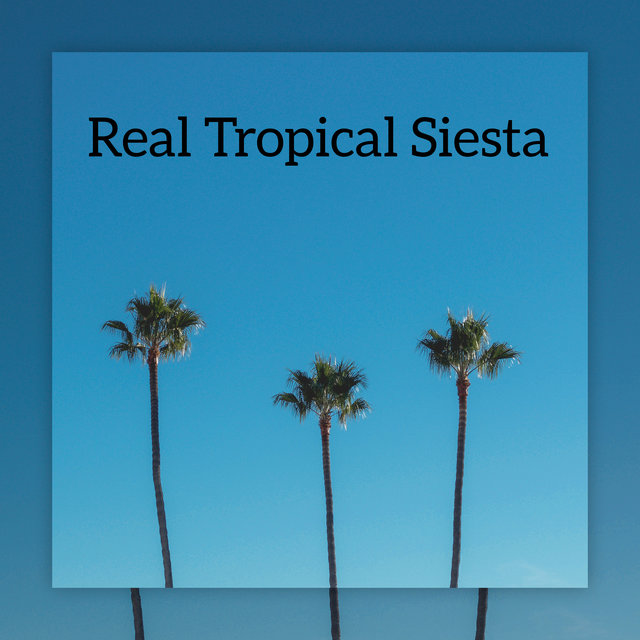 Real Tropical Siesta - Collection of Chillout Beach Rhythms to Help You Totally Relax, Ibiza Lounge, Summer Memories, Ambient Chillax, Under the Palms