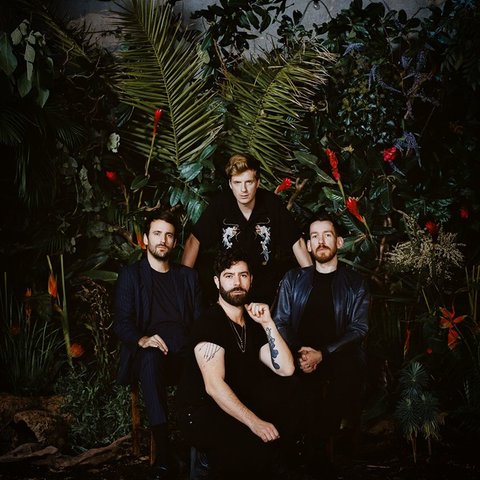 Foals