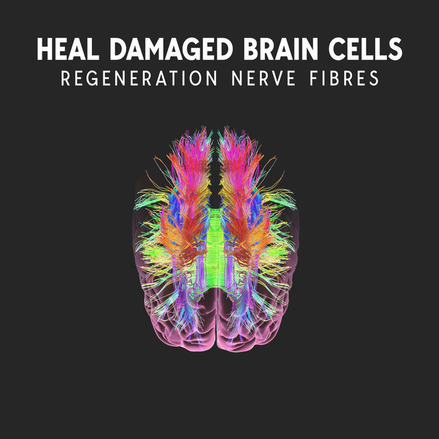 Heal Damaged Brain Cells: Regeneration Nerve Fibres, Nerve Regeneration & Brain Cells Regeneration, Damaged Brain Healing, Healing Binaural Beats, Neuronal Injury and Repair