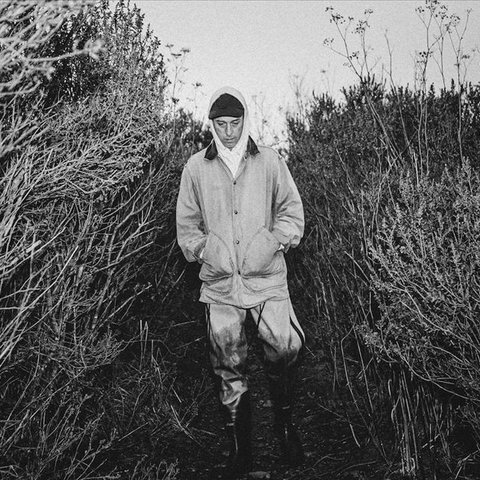 Luke Temple