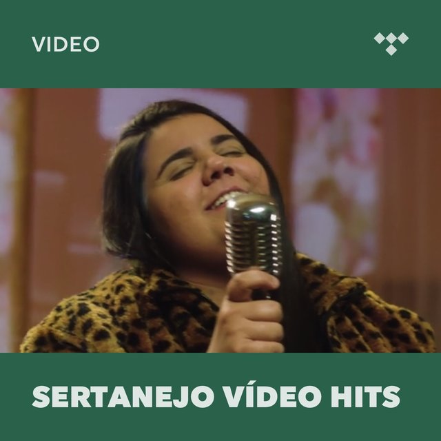 Sertanejo Vídeo Hits
