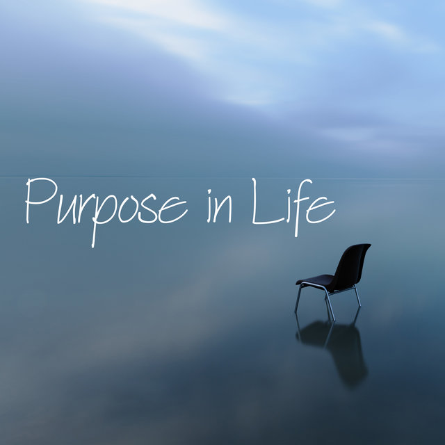 Purpose in Life: Balance and Peace Through Meditation