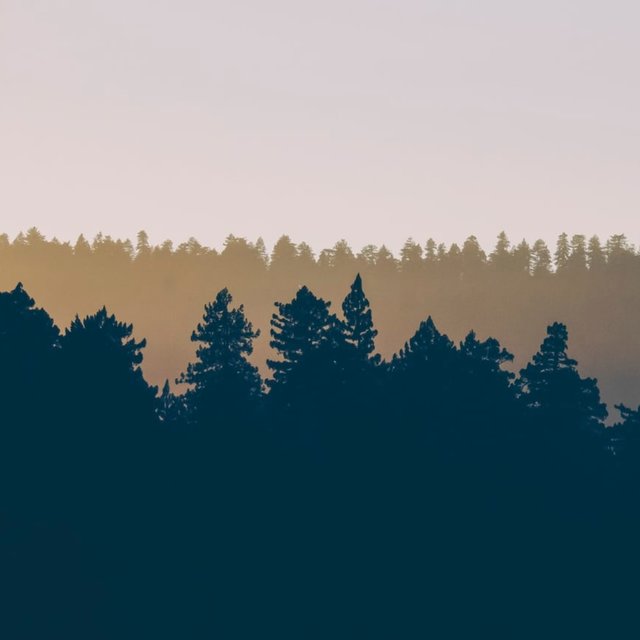 Sleep Aid Music | Massage