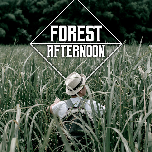 Forest Afternoon - The Most Relaxing Sounds of Nature That are the Perfect Background for Rest, Sleep, Meditation or Yoga
