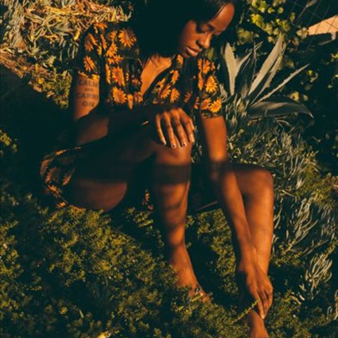 Kari Faux