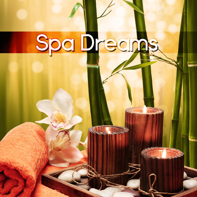 Spa Dreams - Welness Nature Sounds, Music Therapy for the Heart, Sea Waves for Massage, Yoga & Sauna