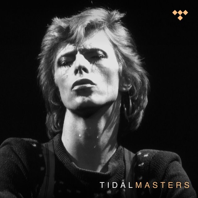 David Bowie - TIDAL Masters