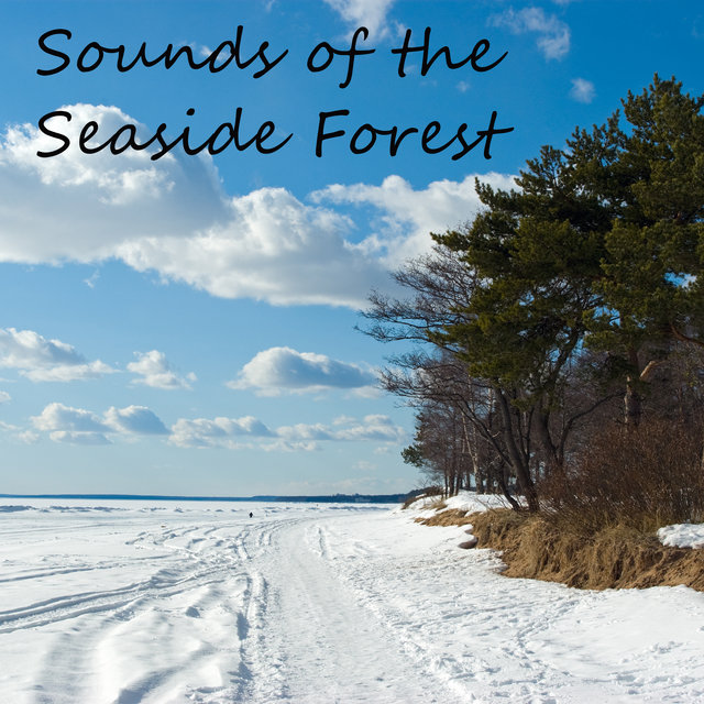 Sounds of the Seaside Forest – Beautiful Nature Melodies, Meadow, Animals, Waves, Ocean, Relaxation, Rest