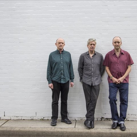 The Necks