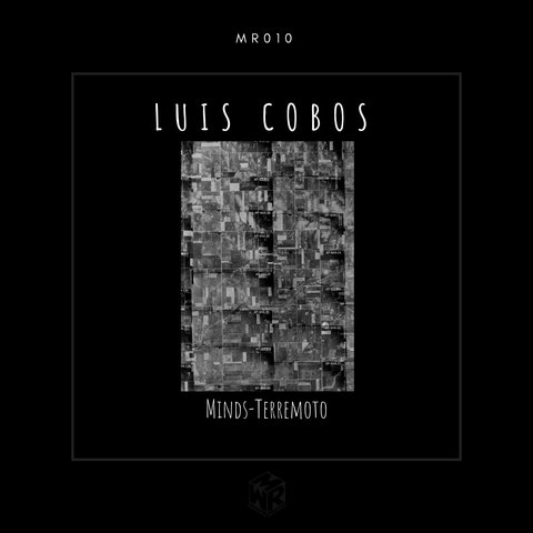 Luis Cobos