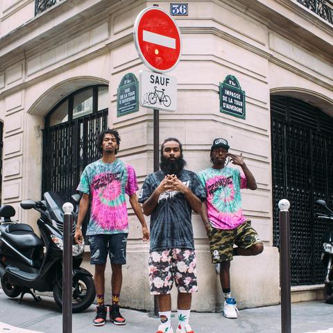 Flatbush Zombies