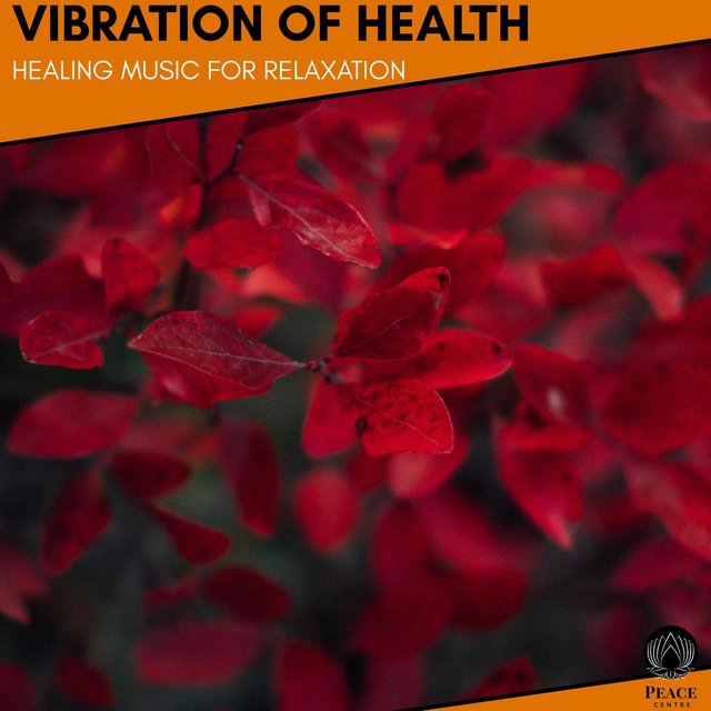 Vibration Of Health - Healing Music For Relaxation