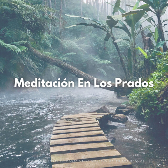 Prados Místicos: La Magia De La Meditación En Los Prados