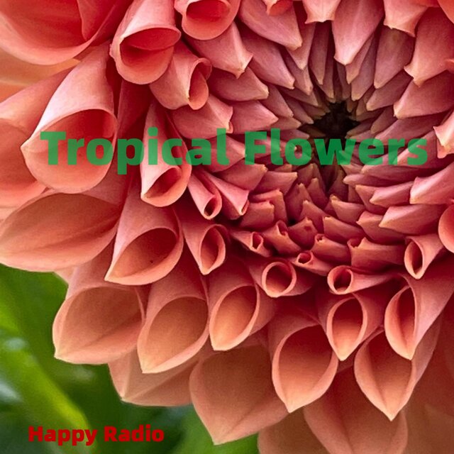 Tropical Flowers