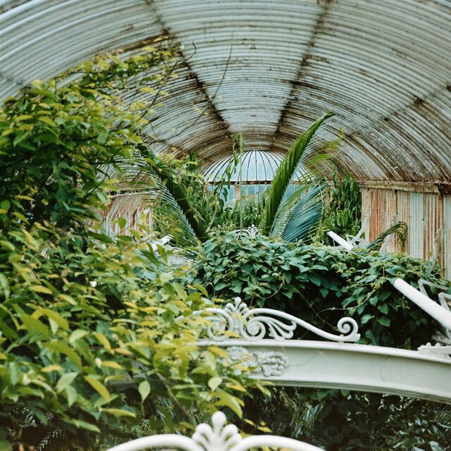 Greenhouse