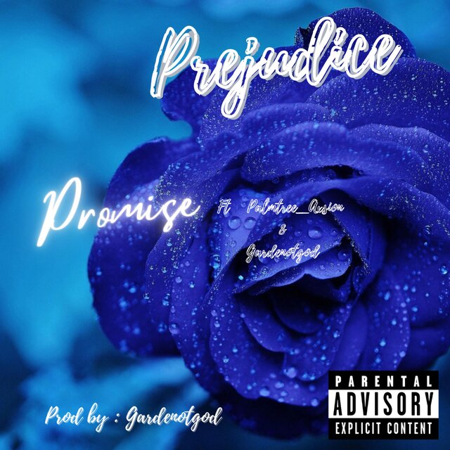 Promise (feat. Gardenotgod & Palmtree_Axsion)