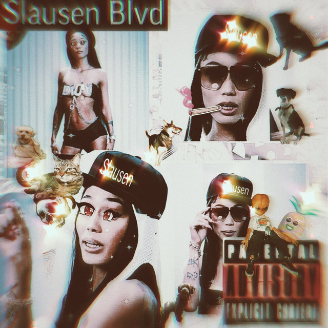 Slausen Blvd