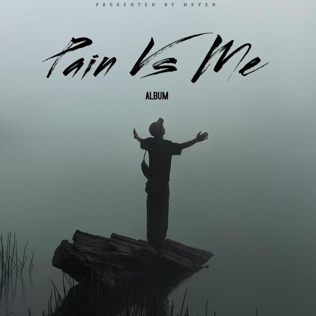 Pain Vs me (Album)