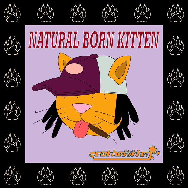 Natural Born Kitten