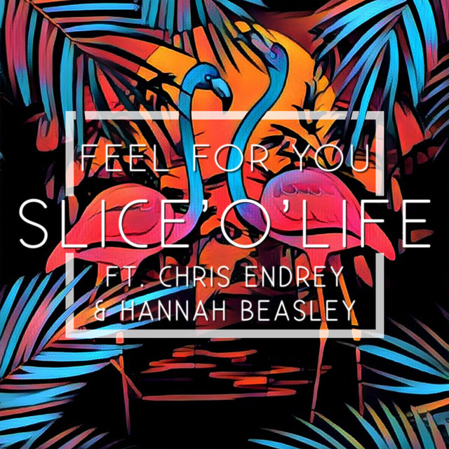 Feel for You (feat. Chris Endrey, Hannah Beasley)