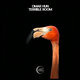 Cover art for album Terrible Room by Omar Hun