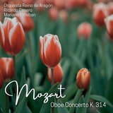 Oboe Concerto in C Major, K. 314: I. Allegro aperto