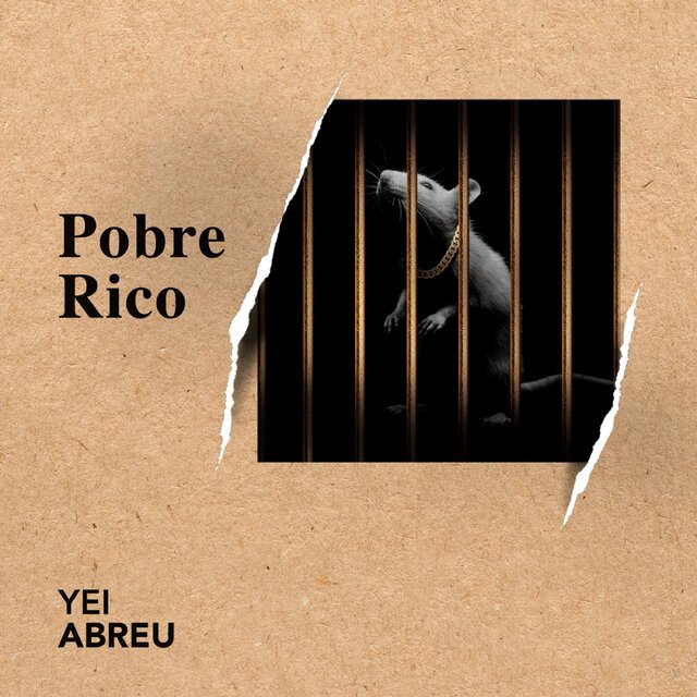 Pobre Rico