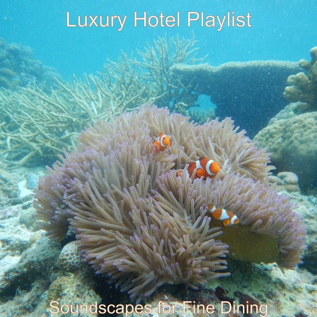 Soundscapes for Fine Dining