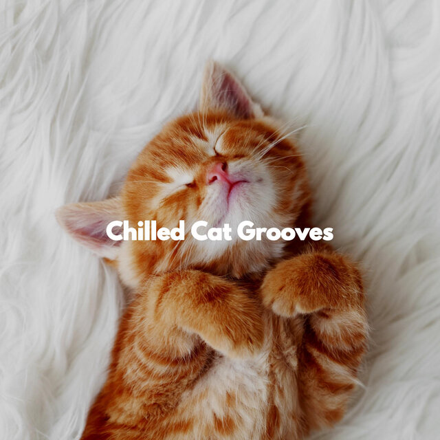 Chilled Cat Grooves