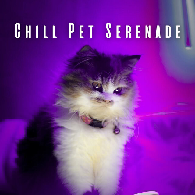 Chill Pet Serenade: Lofi Melodies for Stress-Free Days