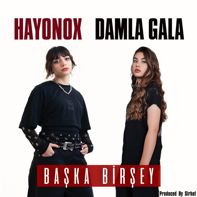 Başka Bi̇rşey