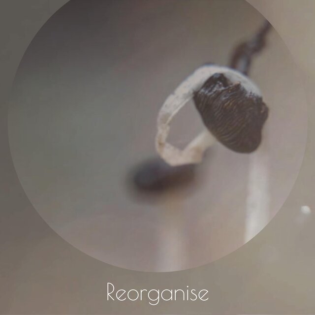 Reorganise