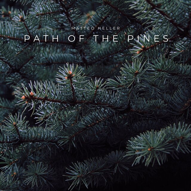 Path of the Pines