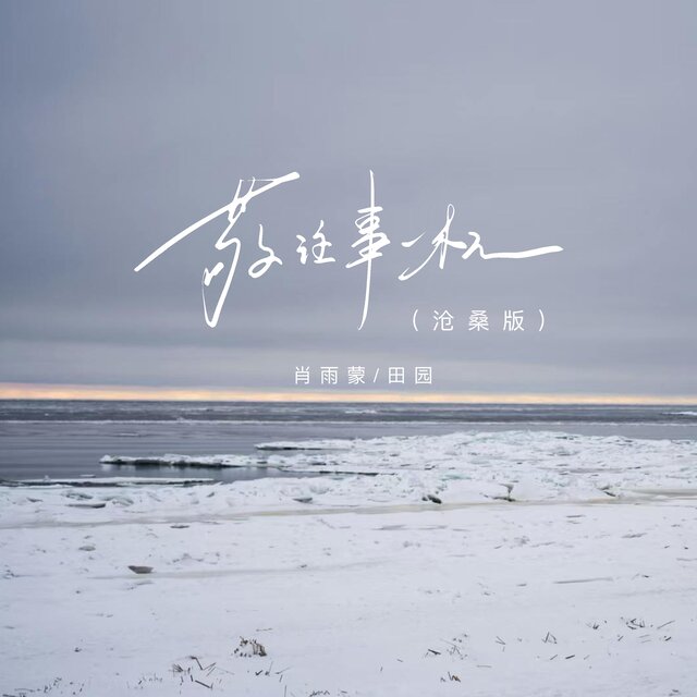 敬往事一杯 (沧桑版)