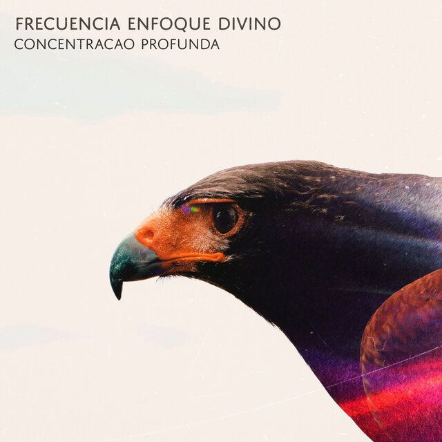 Frecuencia Enfoque Divino