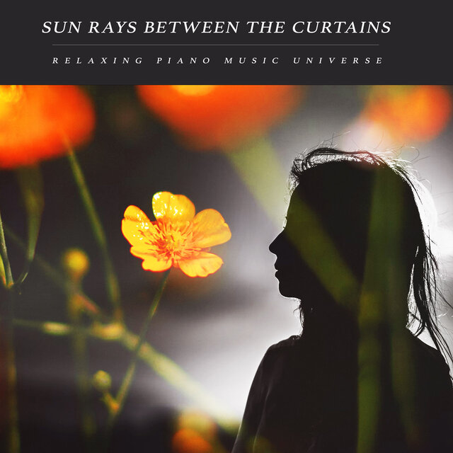 Sun Rays Between The Curtains
