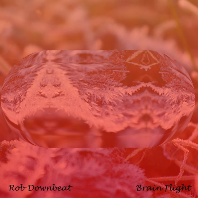 Brain Flight (Radio Edit)