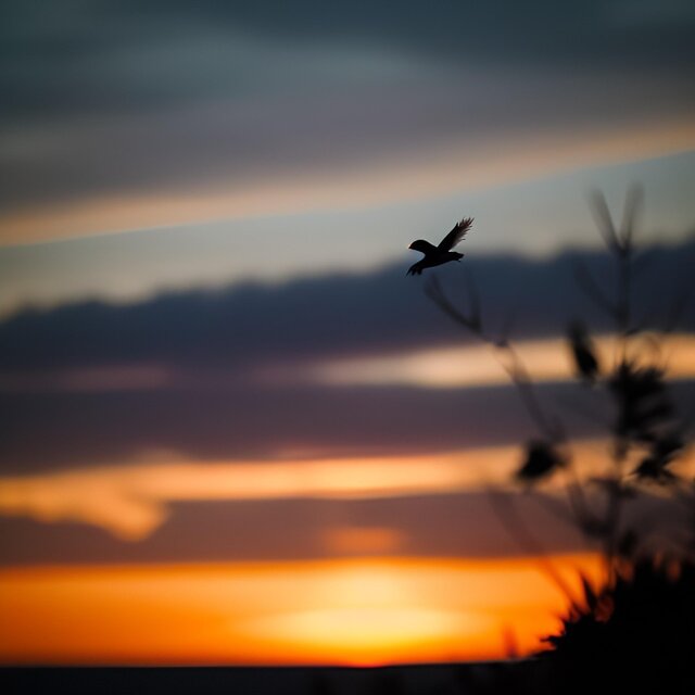 how the wind blows