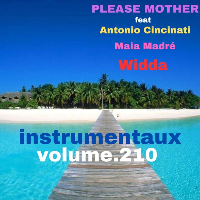 instrumentaux vol.210