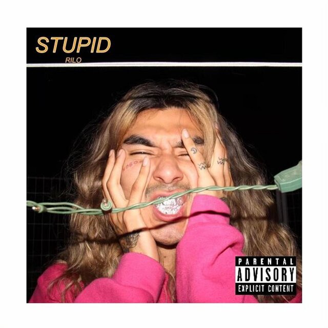 STUPID